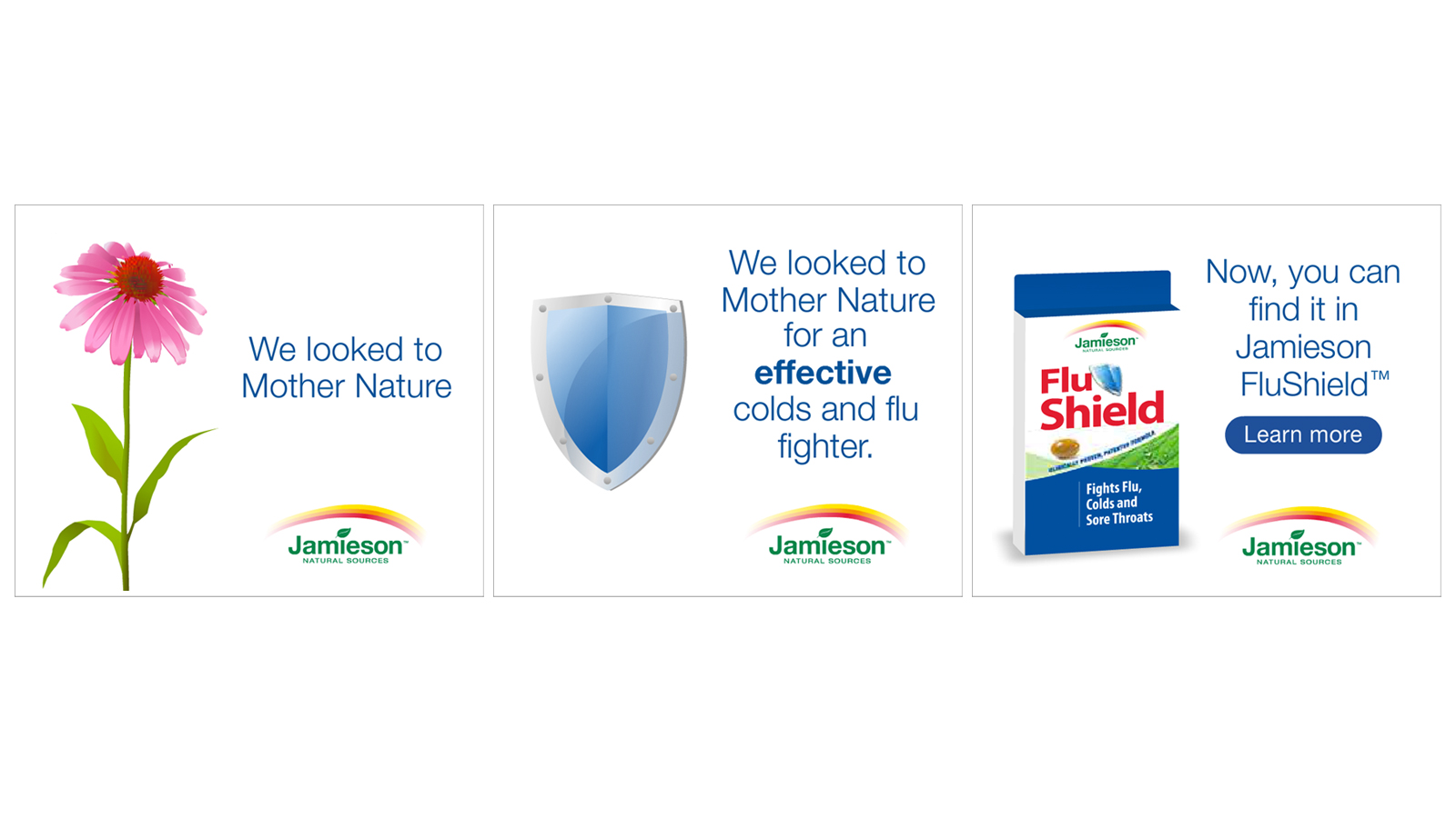 Jamieson Vitamins | Campagne du Pare Grippe | Conception de sites Web / Développement, Marketing numérique