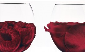 LCBO | Le vin rouge 101 | Design, Imprimé, Promotion en magasin